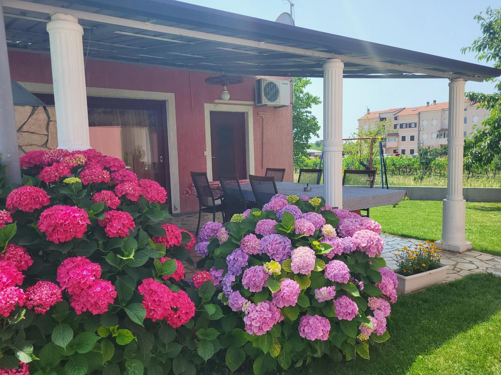 Apartments Dragica Пореч Экстерьер фото