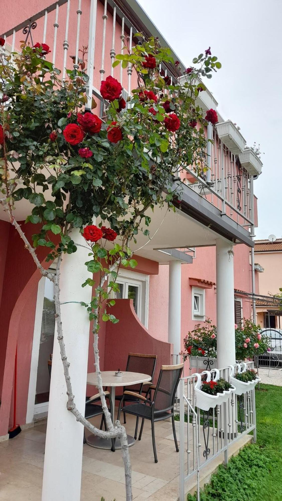 Apartments Dragica Пореч Экстерьер фото